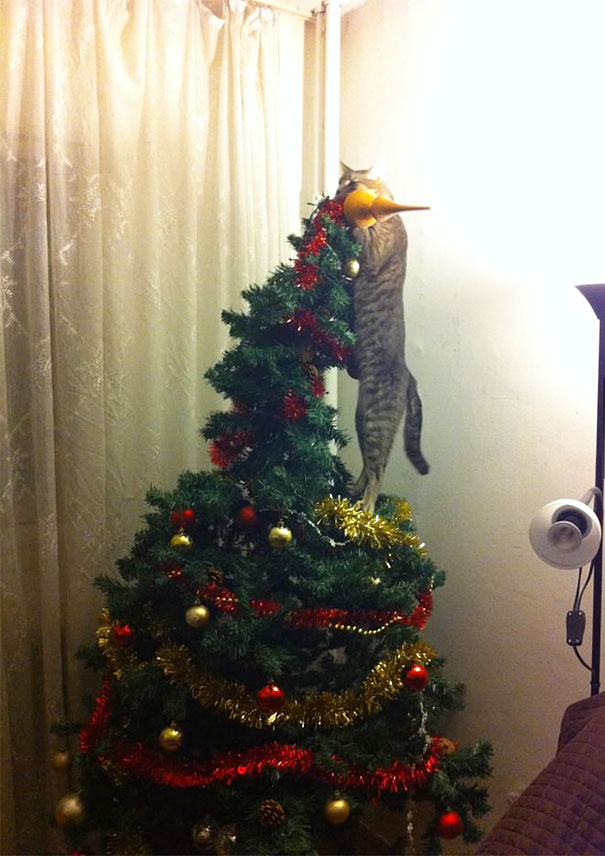 decorating-cats-destroying-trees-christmas-41__605