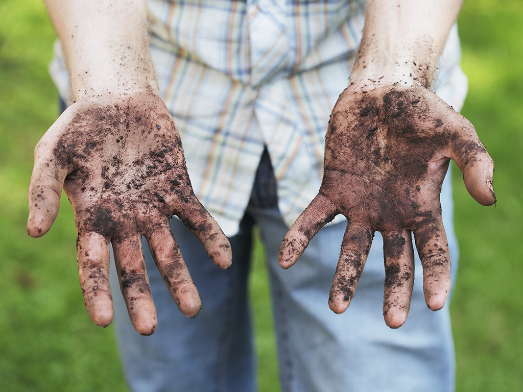 A Man showing dirty hands after gardening work