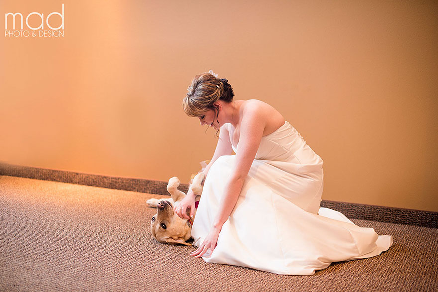 wedding-service-dog-tutu-dress-maddie-peschong-mad-photo-design-2