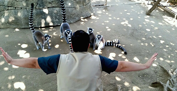 zookeepers-recreating-jurassic-world-raptor-scene-19__605