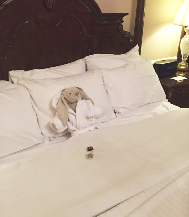 “Have to stay in Adare Manor tonight, hopefully my owner will come to collect me tomorrow”