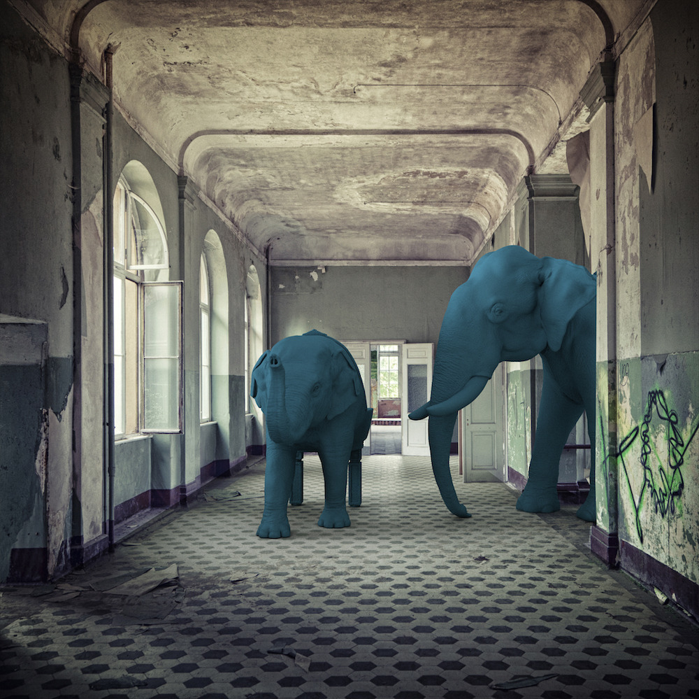 Elephants-reception-hallway