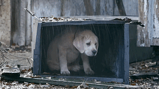 Ill-keep-you-warm-dry-little-guy