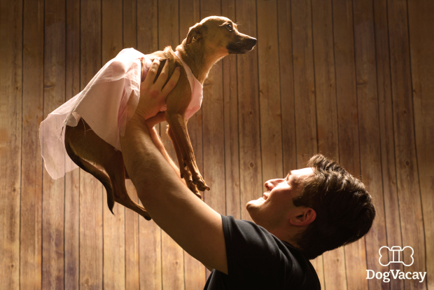 dogs-dirty-dancing-on-valentines-day