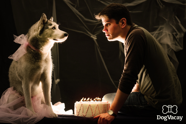 dogs-recreate-romantic-movie-scenes-sixteen-candles