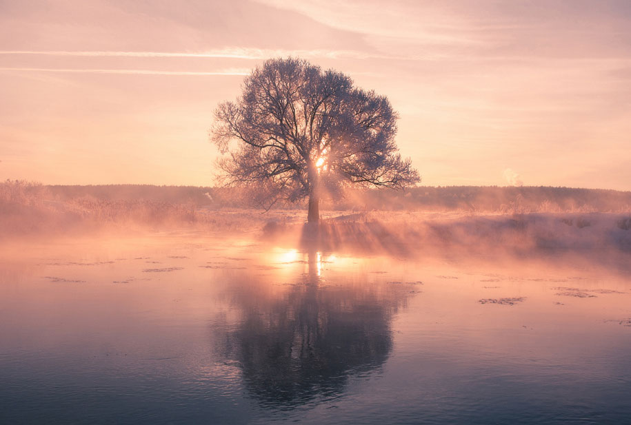 rosy-magenta-dawn-morning-photography-alex-ugalnikov-1