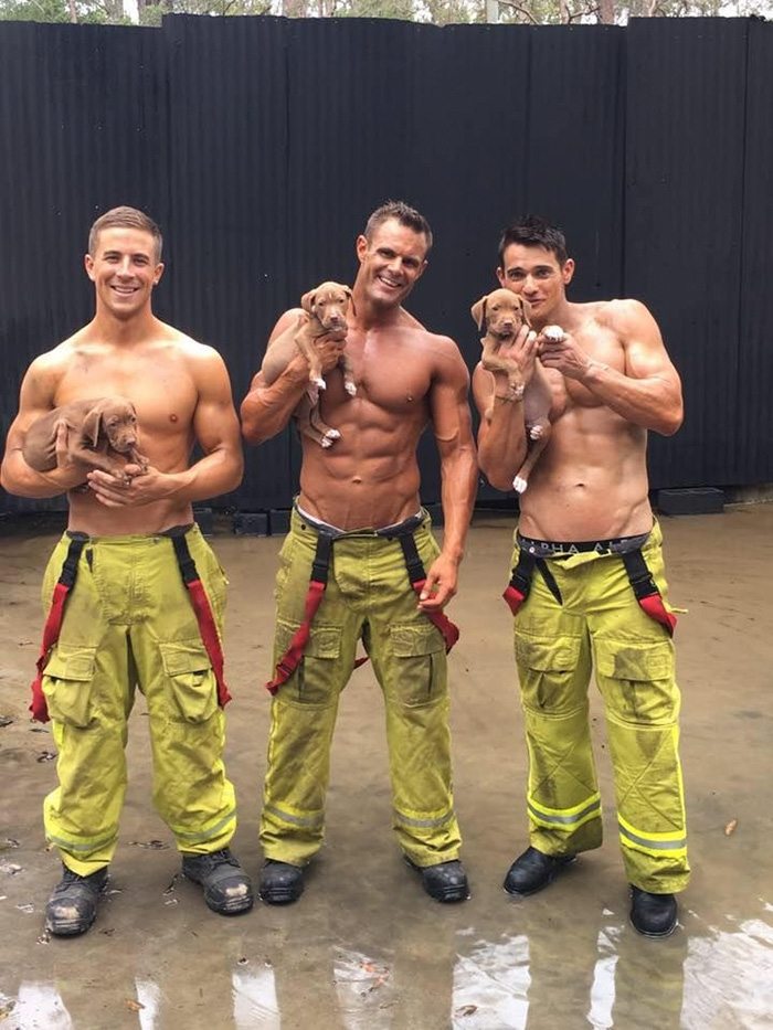 Strażacy i psy razem, czyli charytatywna sesja zdjęciowa