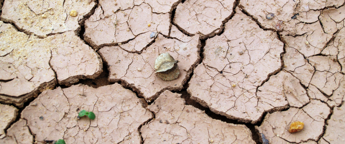 Poranny trop: O lęku klimatycznym