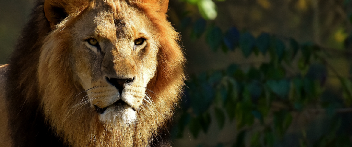 Poranny trop: Dobry czwartek, nie jest zły!