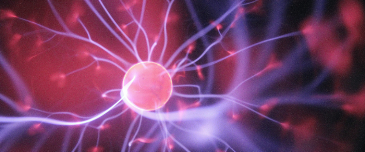 DNA a sukces w biznesie