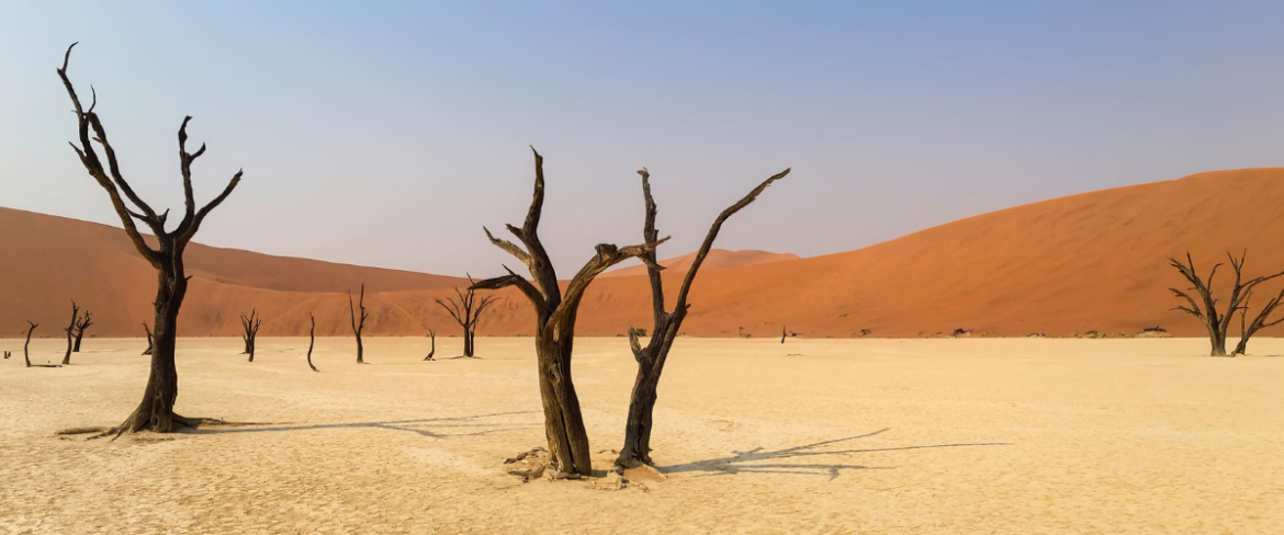 Poranny Trop: Fakty i mity o zmianach klimatu