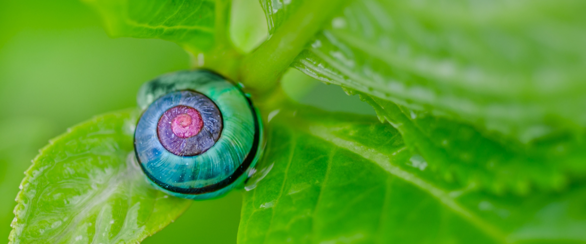 Poranny Trop: Niech poniedziałek będzie jak czwartek!