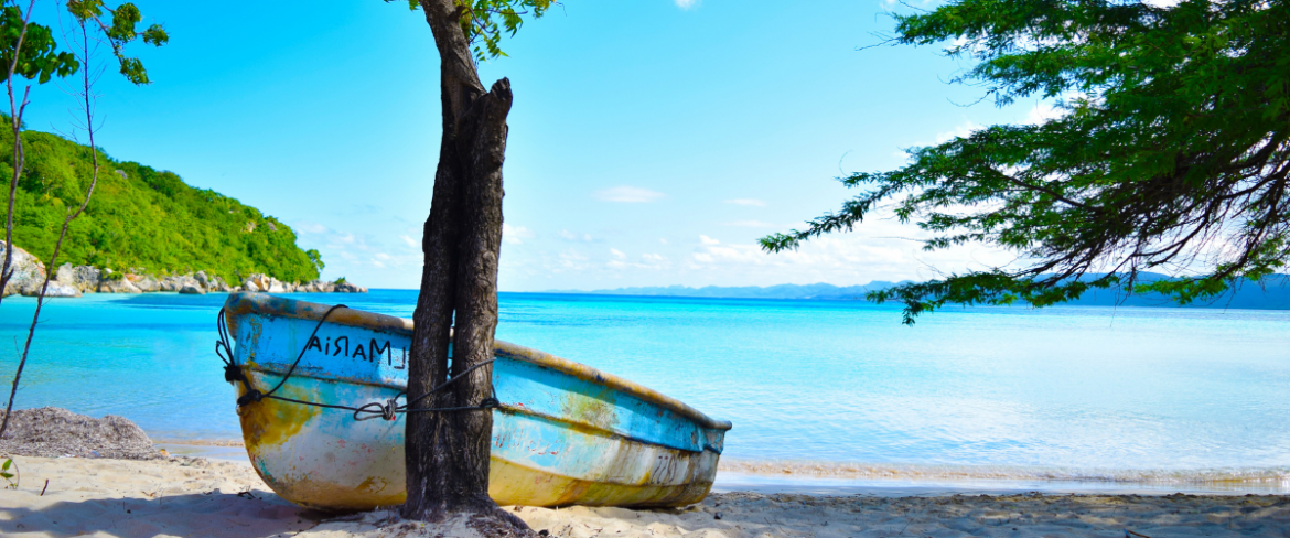 Poranny Trop: Zaproszenie do dżungli