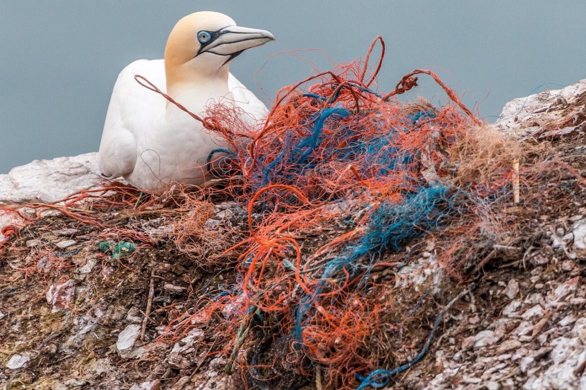 Zasypujemy świat tonami śmieci. Jak zatrzymać ten trend? Produkując smartfony działające 10 lat!