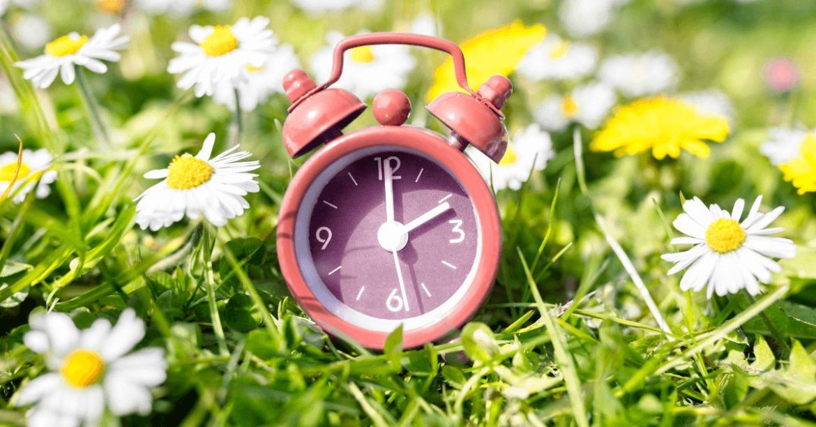 zegar w trawie i kwiatach