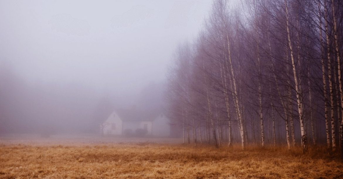 krajobraz z przymrozkami